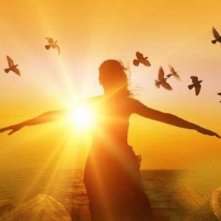 50496709_787193541658699_8720772343946805248_n